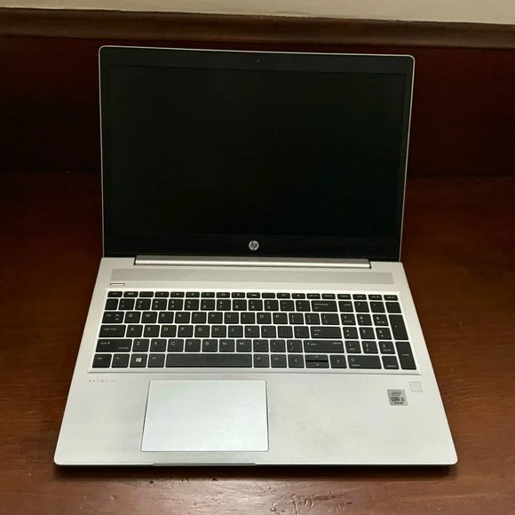 HP Silver ProBook 450 g7 (2020)